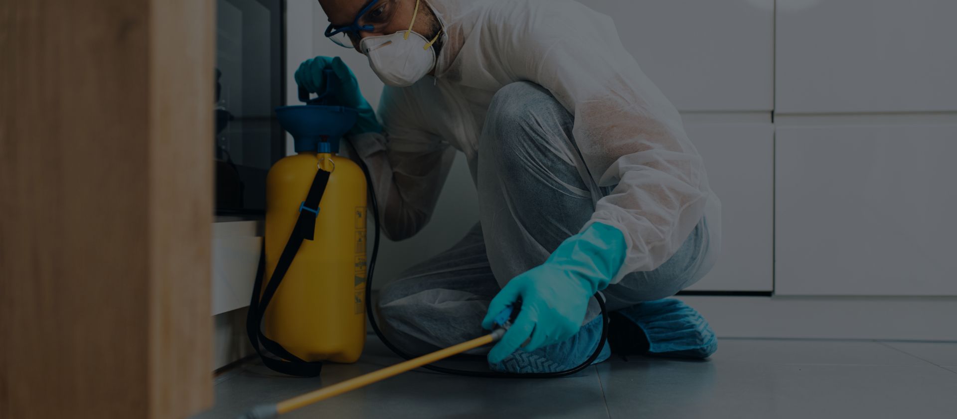 Soluções de controle de pragas para residências e empresas